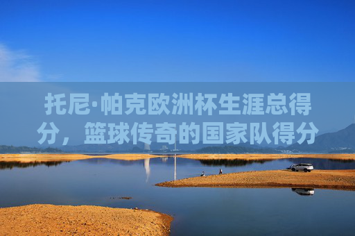 托尼·帕克欧洲杯生涯总得分，篮球传奇的国家队得分盛宴，托尼·帕克欧洲杯生涯总得分，国家队得分盛宴