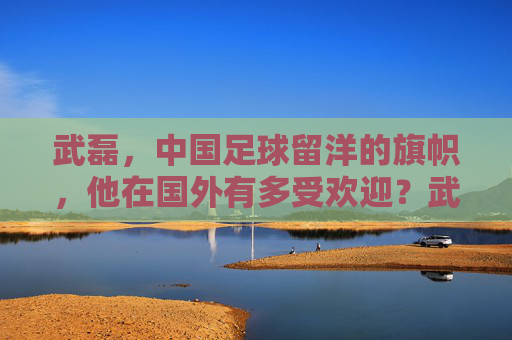 武磊，中国足球留洋的旗帜，他在国外有多受欢迎？武磊，中国足球留洋旗帜，海外人气有多旺？