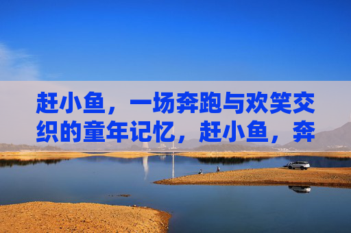 赶小鱼,一场奔跑与欢笑交织的童年记忆,赶小鱼,奔跑欢笑交织的童年记忆 赶小鱼,一场奔跑与欢笑交织的童年记忆,赶小鱼,奔跑欢笑交织的童年记忆