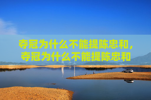 夺冠为什么不能提陈忠和,夺冠为什么不能提陈忠和 夺冠为什么不能提陈忠和,夺冠为什么不能提陈忠和