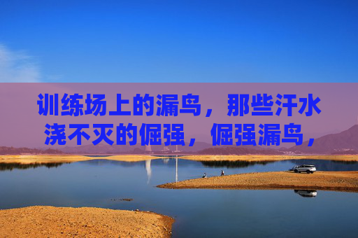 训练场上的漏鸟,那些汗水浇不灭的倔强,倔强漏鸟,训练场上汗水浇不灭的魂 训练场上的漏鸟,那些汗水浇不灭的倔强,倔强漏鸟,训练场上汗水浇不灭的魂