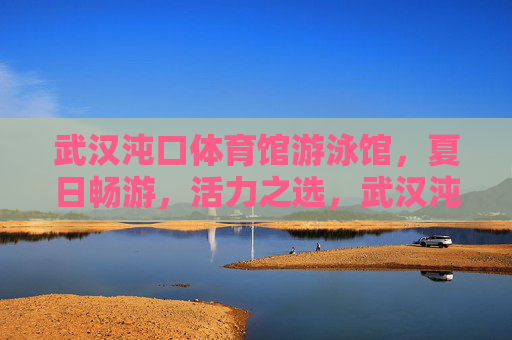 武汉沌口体育馆游泳馆，夏日畅游，活力之选，武汉沌口体育馆游泳馆，夏日畅游活力之选