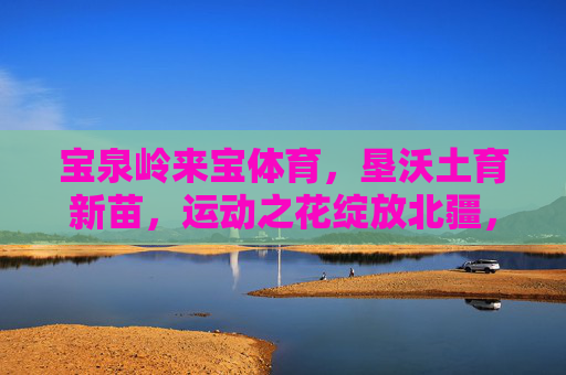 宝泉岭来宝体育，垦沃土育新苗，运动之花绽放北疆，宝泉岭来宝体育，垦沃土育新苗，运动之花绽北疆