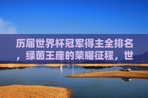 历届世界杯冠军得主全排名，绿茵王座的荣耀征程，世界杯冠军全排名，绿茵王座的荣耀征程