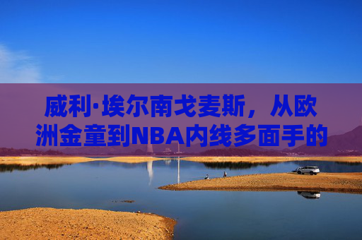 威利·埃尔南戈麦斯，从欧洲金童到NBA内线多面手的坚韧之旅，威利·埃尔南戈麦斯，从欧洲金童到NBA内线多面手的坚韧之旅