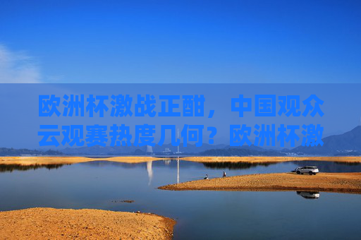 欧洲杯激战正酣,中国观众云观赛热度几何?欧洲杯激战正酣,中国观众云观赛热度几何? 欧洲杯激战正酣,中国观众云观赛热度几何?欧洲杯激战正酣,中国观众云观赛热度几何?