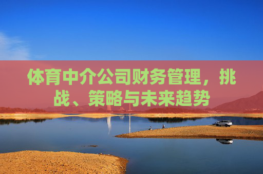 体育中介公司财务管理，挑战、策略与未来趋势