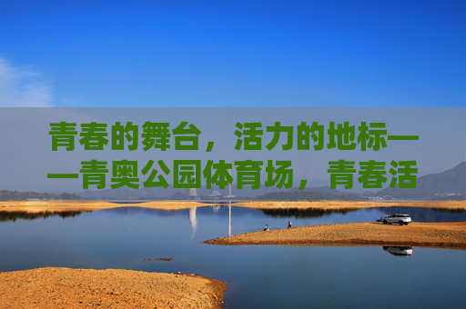青春的舞台，活力的地标——青奥公园体育场，青春活力地标，青奥公园体育场
