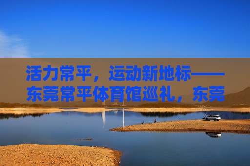 活力常平，运动新地标——东莞常平体育馆巡礼，东莞常平体育馆，活力常平的运动新地标