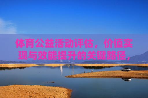 体育公益活动评估,价值实现与效能提升的关键路径,体育公益活动评估,价值实现与效能提升的关键路径 体育公益活动评估,价值实现与效能提升的关键路径,体育公益活动评估,价值实现与效能提升的关键路径