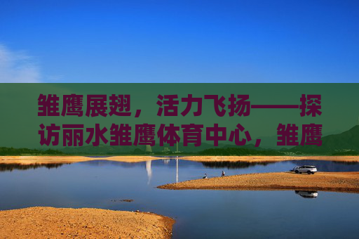 雏鹰展翅，活力飞扬——探访丽水雏鹰体育中心，雏鹰展翅活力飞扬——丽水雏鹰体育中心