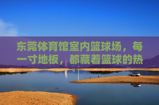 东莞体育馆室内篮球场，每一寸地板，都藏着篮球的热血与梦想，东莞体育馆室内篮球场，热血与梦想，藏在每一寸地板里