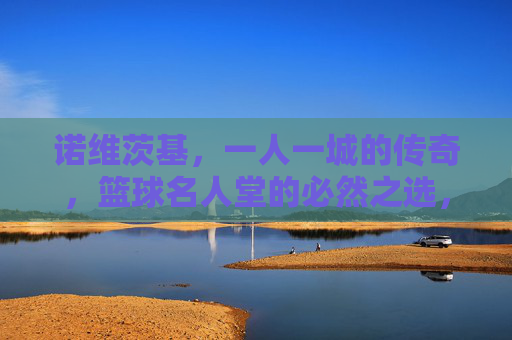 诺维茨基,一人一城的传奇,篮球名人堂的必然之选,诺维茨基,一人一城传奇,名人堂必然之选 诺维茨基,一人一城的传奇,篮球名人堂的必然之选,诺维茨基,一人一城传奇,名人堂必然之选
