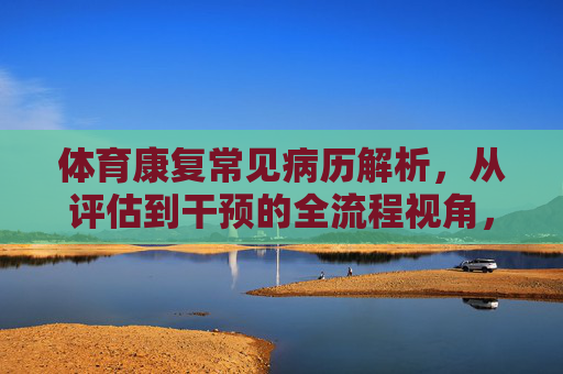 体育康复常见病历解析，从评估到干预的全流程视角，体育康复常见病历评估与干预全流程解析
