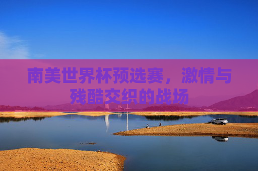 南美世界杯预选赛,激情与残酷交织的战场 南美世界杯预选赛,激情与残酷交织的战场