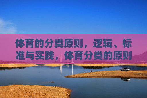 体育的分类原则,逻辑、标准与实践,体育分类的原则、逻辑、标准与实践 体育的分类原则,逻辑、标准与实践,体育分类的原则、逻辑、标准与实践