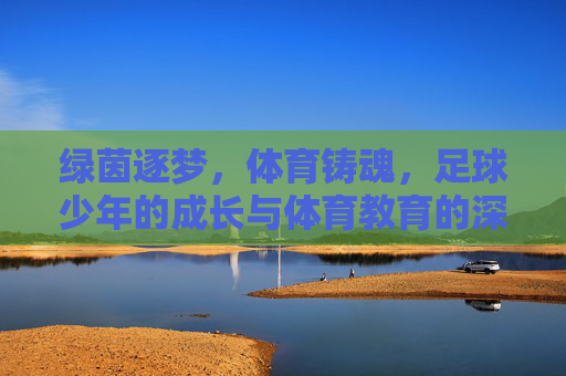 绿茵逐梦，体育铸魂，足球少年的成长与体育教育的深耕，绿茵逐梦铸魂，足球少年的成长与体育教育深耕