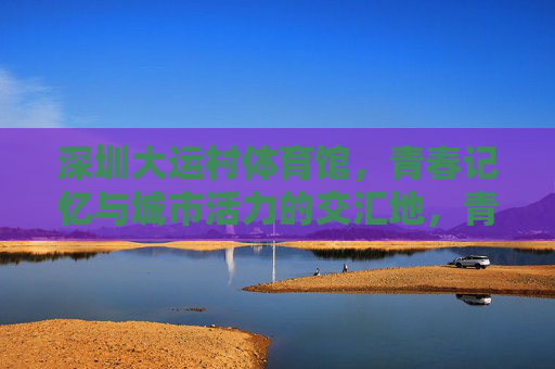 深圳大运村体育馆，青春记忆与城市活力的交汇地，青春记忆与城市活力交汇，深圳大运村体育馆