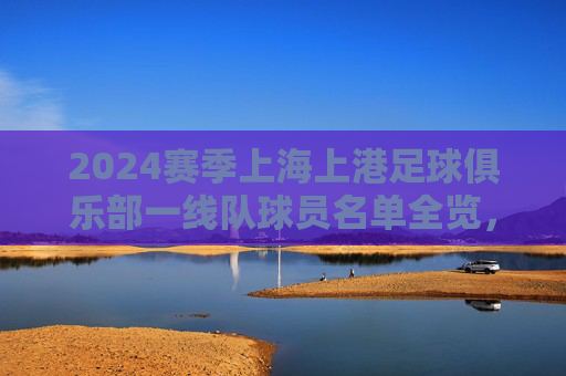 2024赛季上海上港足球俱乐部一线队球员名单全览，2024赛季上海上港一线队球员名单全览