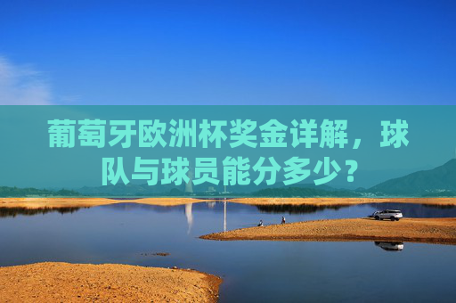 葡萄牙欧洲杯奖金详解，球队与球员能分多少？