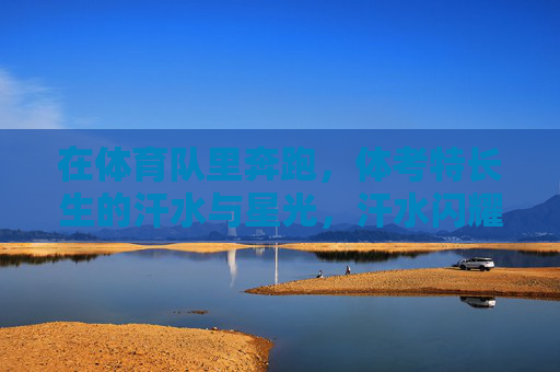 在体育队里奔跑,体考特长生的汗水与星光,汗水闪耀星光,体考特长生的奔跑印记 在体育队里奔跑,体考特长生的汗水与星光,汗水闪耀星光,体考特长生的奔跑印记