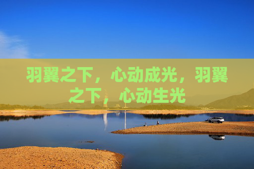羽翼之下，心动成光，羽翼之下，心动生光