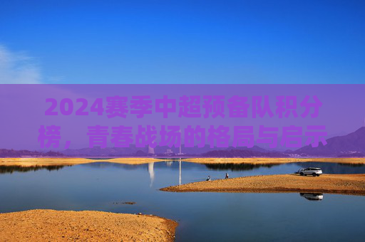 2024赛季中超预备队积分榜，青春战场的格局与启示，2024中超预备队积分榜，青春战场的格局启示