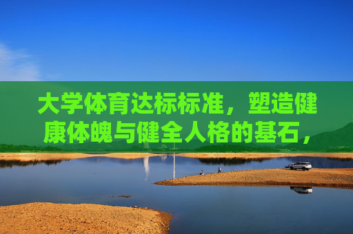 大学体育达标标准，塑造健康体魄与健全人格的基石，大学体育达标标准，健康体魄与健全人格的基石