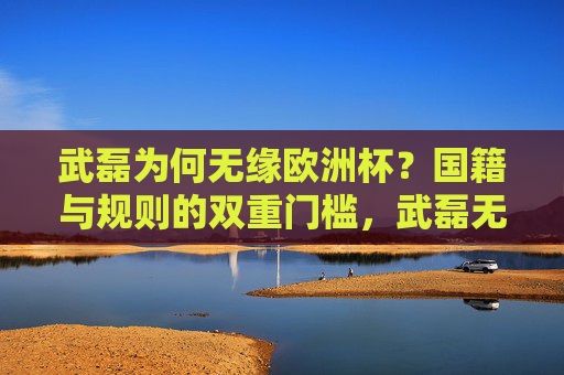 武磊为何无缘欧洲杯？国籍与规则的双重门槛，武磊无缘欧洲杯，国籍与规则的双重门槛