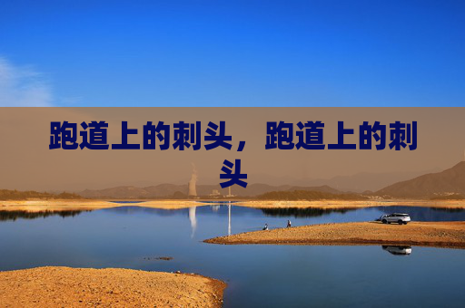 跑道上的刺头,跑道上的刺头 跑道上的刺头,跑道上的刺头