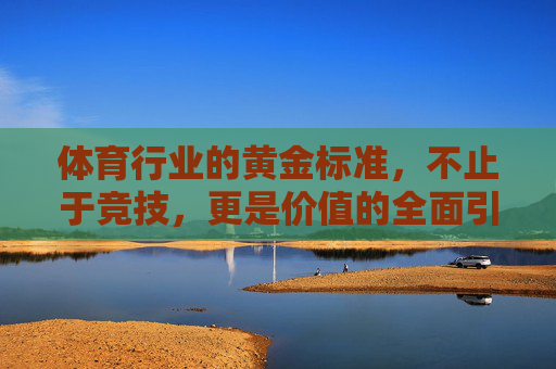 体育行业的黄金标准，不止于竞技，更是价值的全面引领，体育行业的黄金标准，不止竞技，价值引领