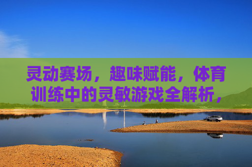 灵动赛场，趣味赋能，体育训练中的灵敏游戏全解析，灵动赛场，趣味赋能，体育训练灵敏游戏全解析