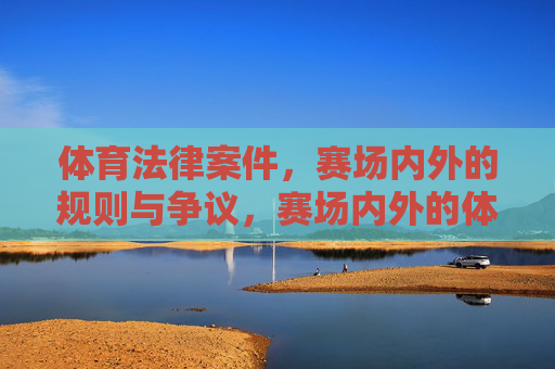 体育法律案件,赛场内外的规则与争议,赛场内外的体育法律规则与争议 体育法律案件,赛场内外的规则与争议,赛场内外的体育法律规则与争议