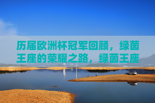 历届欧洲杯冠军回顾，绿茵王座的荣耀之路，绿茵王座，历届欧洲杯冠军的荣耀之路