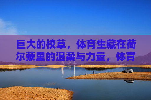 巨大的校草,体育生藏在荷尔蒙里的温柔与力量,体育生校草,荷尔蒙里的温柔与力量 巨大的校草,体育生藏在荷尔蒙里的温柔与力量,体育生校草,荷尔蒙里的温柔与力量