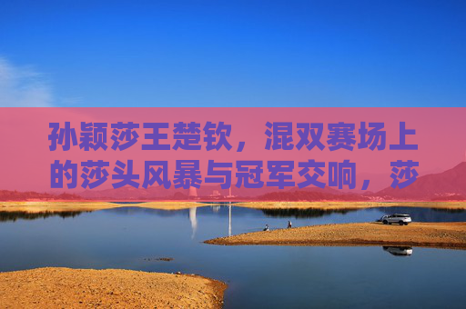 孙颖莎王楚钦，混双赛场上的莎头风暴与冠军交响，莎头风暴混双奏响冠军交响