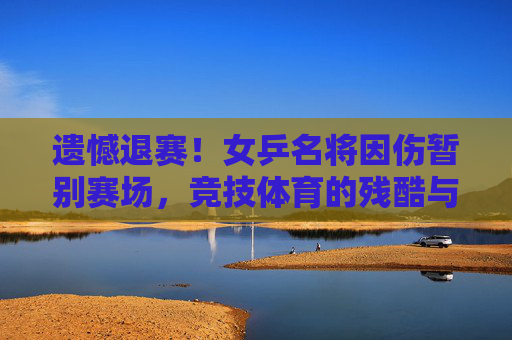遗憾退赛!女乒名将因伤暂别赛场,竞技体育的残酷与坚守,女乒名将因伤遗憾退赛,竞技体育的残酷与坚守 遗憾退赛!女乒名将因伤暂别赛场,竞技体育的残酷与坚守,女乒名将因伤遗憾退赛,竞技体育的残酷与坚守
