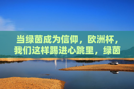 当绿茵成为信仰,欧洲杯,我们这样踢进心跳里,绿茵为信仰,欧洲杯踢进心跳里 当绿茵成为信仰,欧洲杯,我们这样踢进心跳里,绿茵为信仰,欧洲杯踢进心跳里