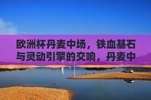 欧洲杯丹麦中场，铁血基石与灵动引擎的交响，丹麦中场，铁血基石与灵动引擎的交响