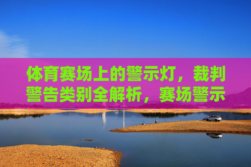 体育赛场上的警示灯,裁判警告类别全解析,赛场警示灯,裁判警告类别全解析 体育赛场上的警示灯,裁判警告类别全解析,赛场警示灯,裁判警告类别全解析