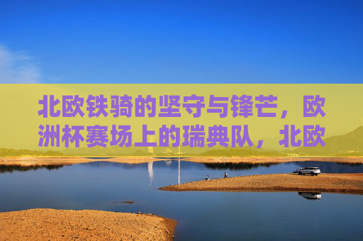 北欧铁骑的坚守与锋芒，欧洲杯赛场上的瑞典队，北欧铁骑，欧洲杯赛场上的坚守与锋芒