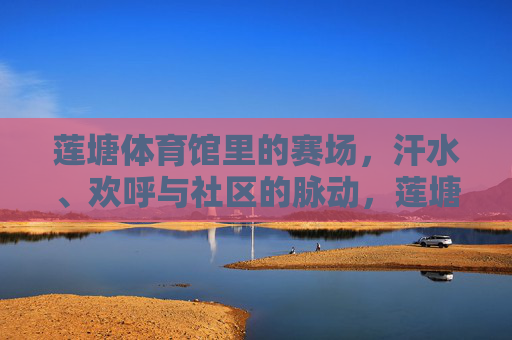 莲塘体育馆里的赛场,汗水、欢呼与社区的脉动,莲塘体育馆,赛场汗水欢呼里的社区脉动 莲塘体育馆里的赛场,汗水、欢呼与社区的脉动,莲塘体育馆,赛场汗水欢呼里的社区脉动