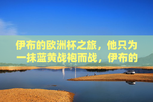 伊布的欧洲杯之旅,他只为一抹蓝黄战袍而战,伊布的欧洲杯,为蓝黄战袍而战 伊布的欧洲杯之旅,他只为一抹蓝黄战袍而战,伊布的欧洲杯,为蓝黄战袍而战