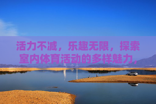 活力不减,乐趣无限,探索室内体育活动的多样魅力,活力不减乐趣多,室内体育魅力无限 活力不减,乐趣无限,探索室内体育活动的多样魅力,活力不减乐趣多,室内体育魅力无限