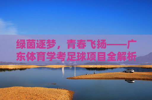 绿茵逐梦，青春飞扬——广东体育学考足球项目全解析，绿茵逐梦，青春飞扬——广东体育学考足球项目全解析