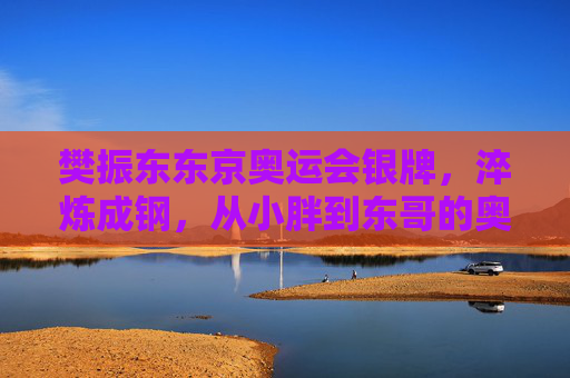 樊振东东京奥运会银牌，淬炼成钢，从小胖到东哥的奥运成人礼，樊振东东京奥运银牌淬炼成钢，从小胖到东哥的成人礼