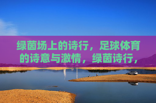 绿茵场上的诗行，足球体育的诗意与激情，绿茵诗行，足球的诗意与激情