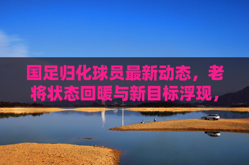 国足归化球员最新动态，老将状态回暖与新目标浮现，未来引援方向引关注，国足归化球员动态，老将回暖、新目标浮现，引援方向引关注