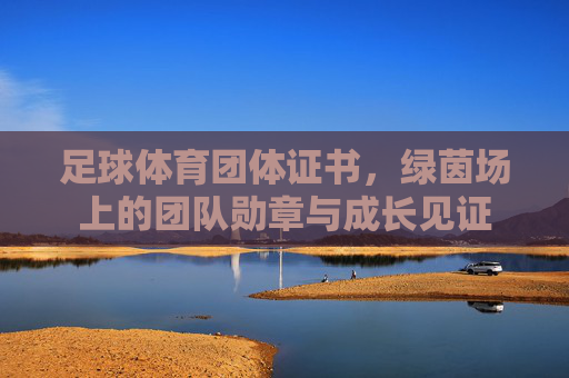 足球体育团体证书,绿茵场上的团队勋章与成长见证 足球体育团体证书,绿茵场上的团队勋章与成长见证