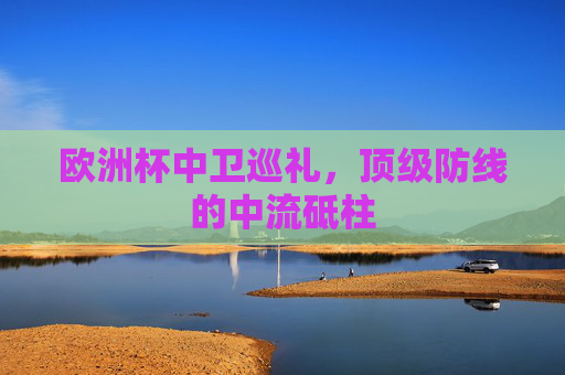欧洲杯中卫巡礼,顶级防线的中流砥柱 欧洲杯中卫巡礼,顶级防线的中流砥柱